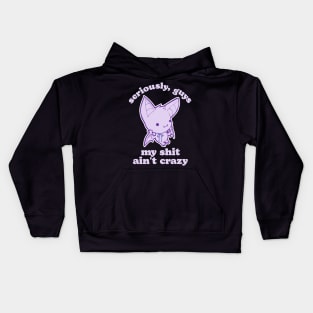 Seriously, Guys My Shit Ain't Crazy Kids Hoodie